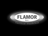 09.03.2014 - Dagesh Advanced Solutions secures exclusivity agreement with Flamor s.r.l (Italy)